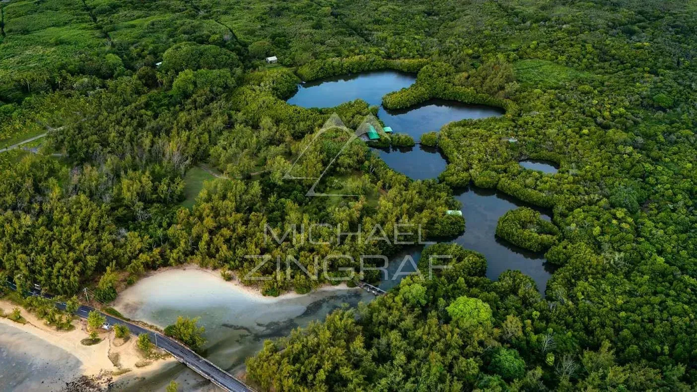 Île Maurice – Un Penthouse d’Exception au Cœur de la Nature à Anse La Raie - 10