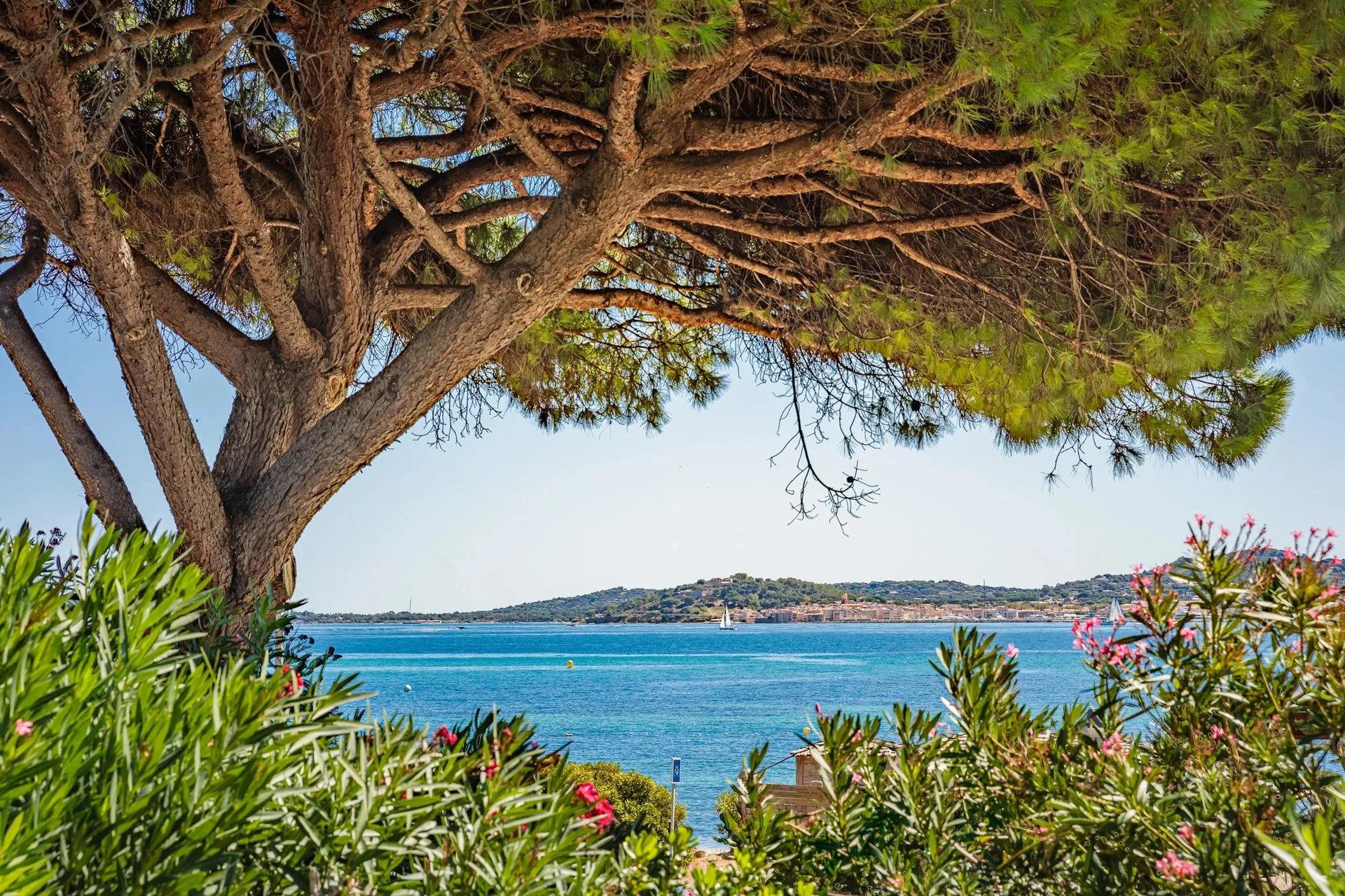 Propriété de prestige face à la mer, à pied de la plage - 4