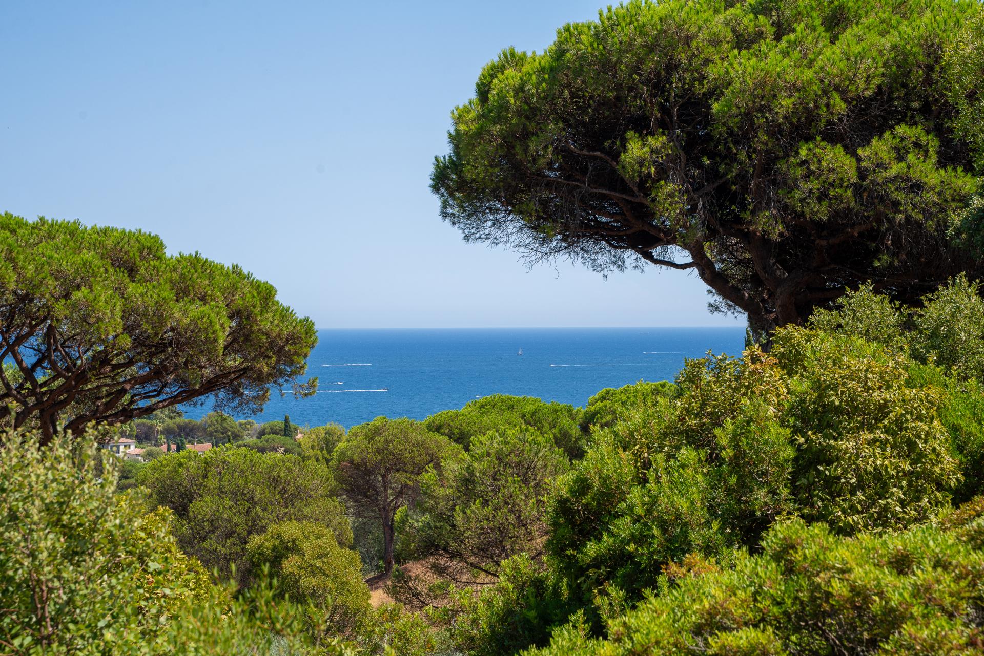 L’élégance méditerranéenne dans un écrin privilégié - Sainte-Maxime - 27