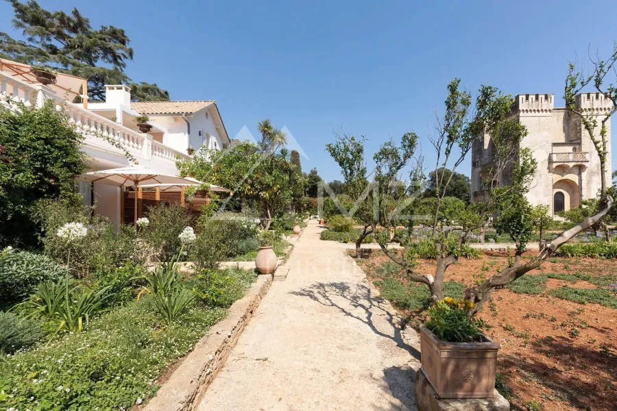 Cannes - Iles de Lérins - Domaine privé - 5