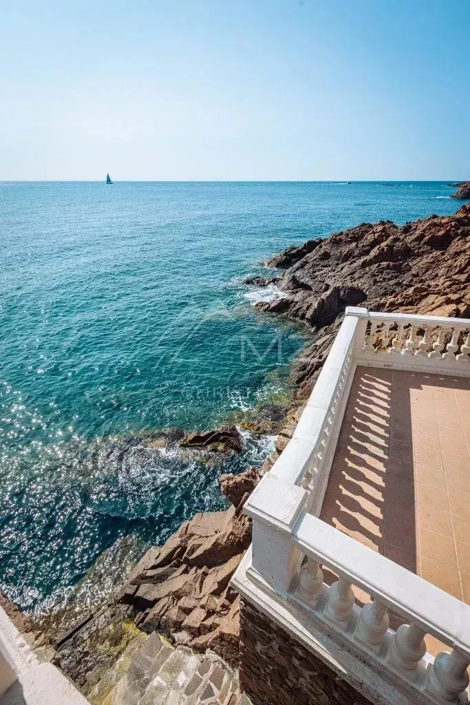 Proche Cannes - Anthéor - Villa Art Déco pieds dans l'eau - 3