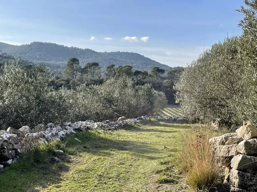 BASTIDE DE CHARME AU COEUR DU TERROIR DES CÔTES DE PROVENCE - 2