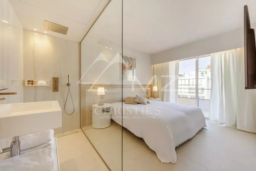 Cannes - Palm Beach - Appartement avec superbe vue - 5