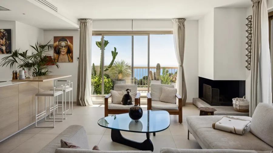 Eze - Magnificent flat with large terrace - 5