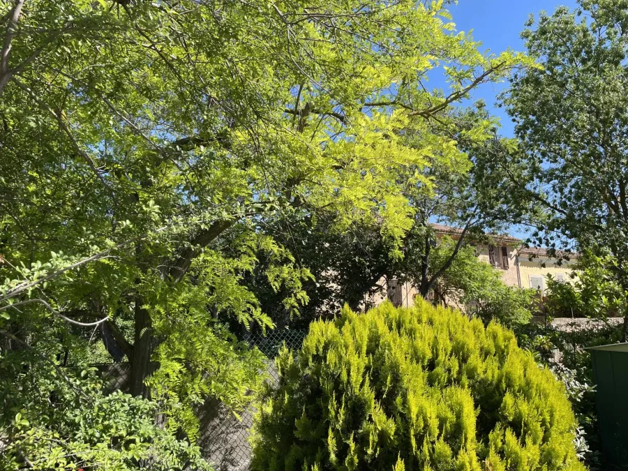 AOP CÔTES DE PROVENCE - EXPLOITATION VITICOLE EN CENTRE VAR - 8