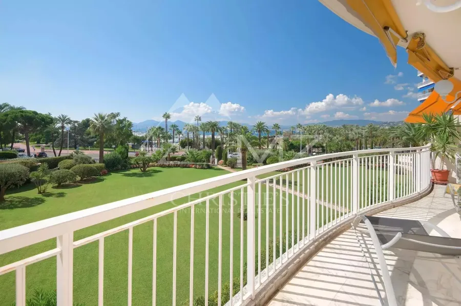 Cannes - Croisette - Appartement - 4