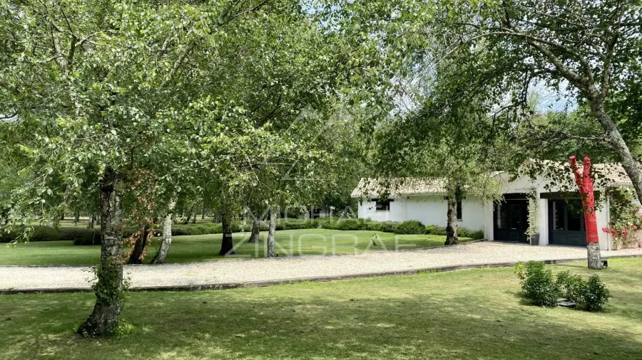 Propriété d'exception au cœur de 7 hectares de nature préservée - 5
