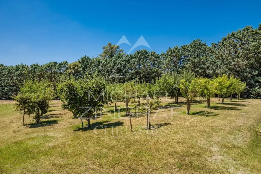 Alpilles, Domaine avec Château XVIIIème - 2