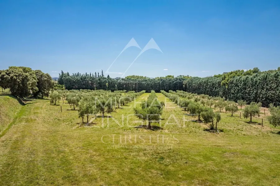 Alpilles, Domaine avec Château XVIIIème - 3