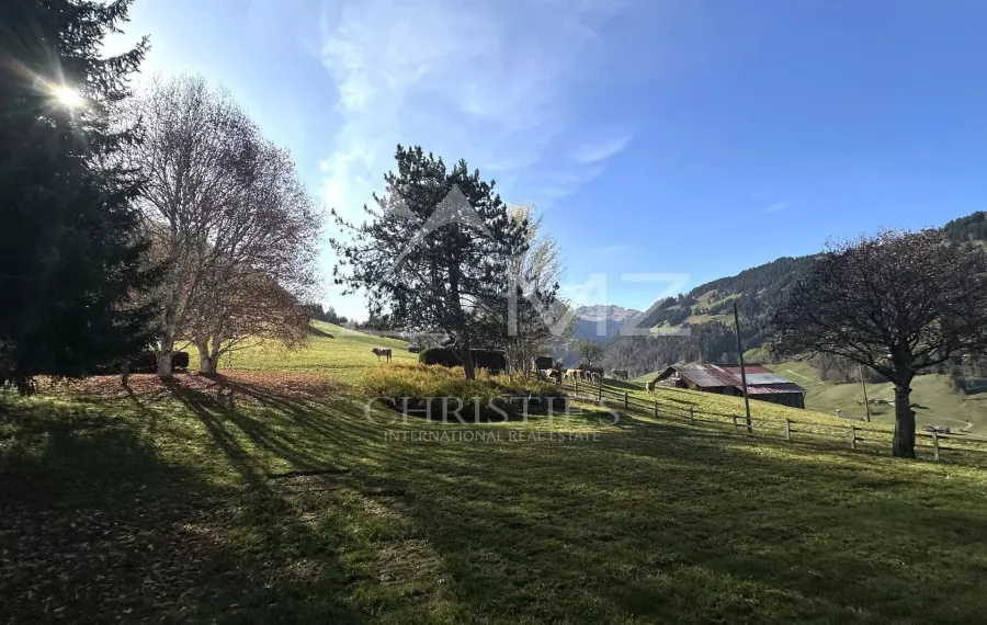 Chalet chaleureux et élégant à LOUER avec vue unique sur la vallée de Gstaad - 7