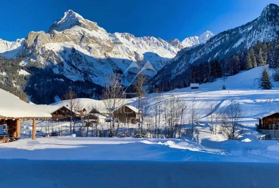 Petit chalet chaleureux à Gsteig