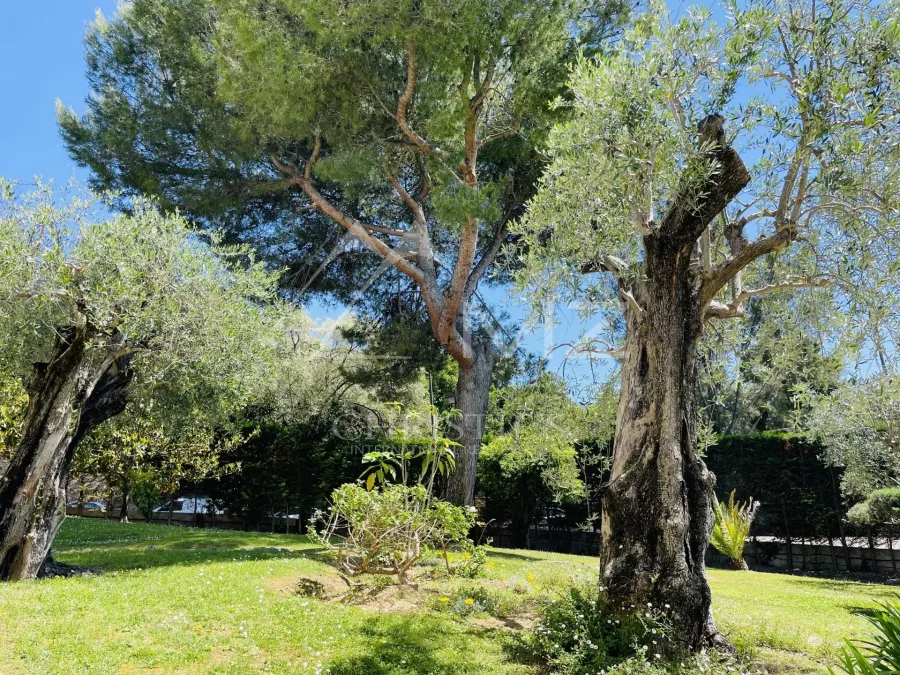 Idéalement situé à proximité du centre de Cannes - 4