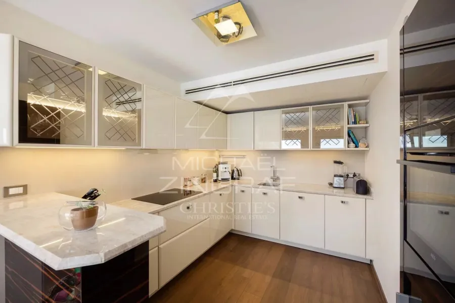 Penthouse duplex aux portes de Monaco avec jardin - 4