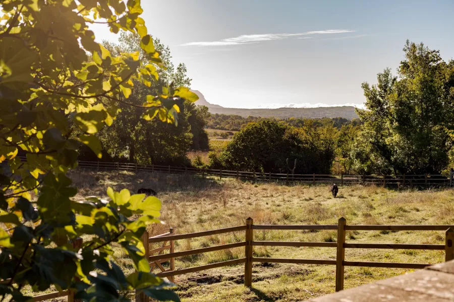 Propriété d’exception au cœur de la campagne aixoise - 3