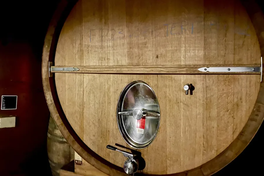 RARE- Domaine viti-vinicole BEAUJOLAIS - 8