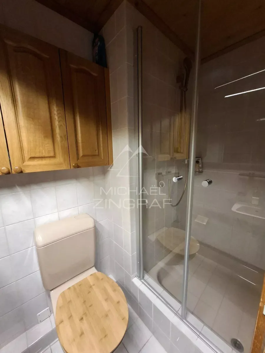 Appartement traditionnel dans le centre de Gstaad - 8