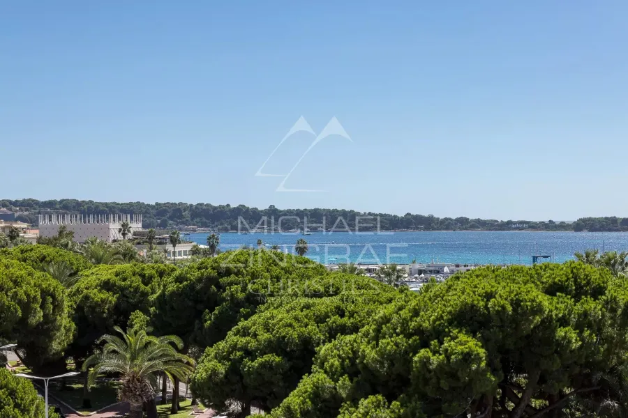 Cannes Croisette - Appartement 3 pièces vue mer exceptionnelle - 4