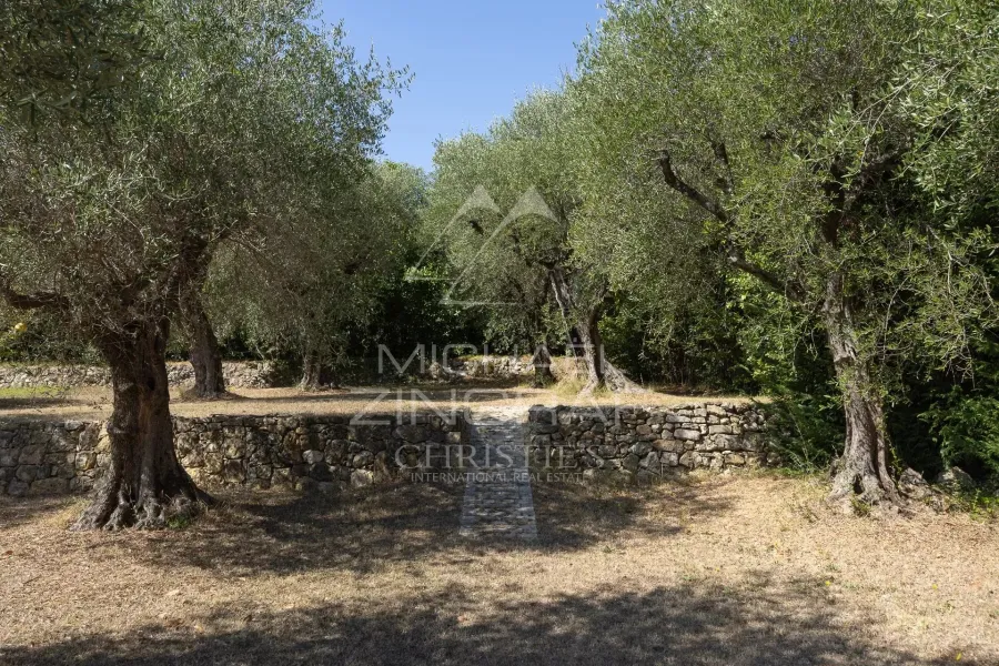 Villa avec piscine à Grasse, à 5 minutes d'Opio – 340 m² – Terrain de 5 000 m² - 3
