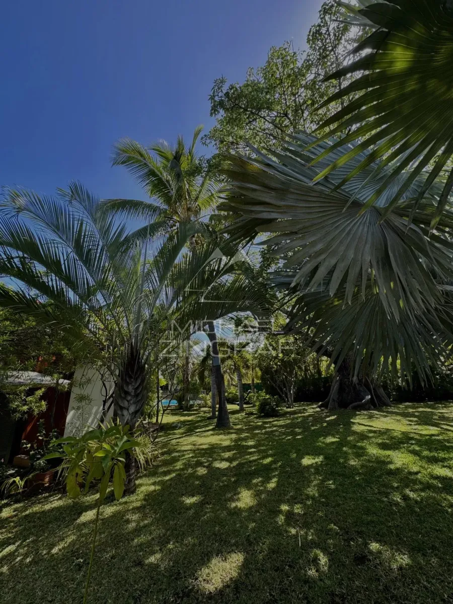 Villa d’Exception dans un Lotissement Sécurisé à Saint-Gilles-les-Bains - 5
