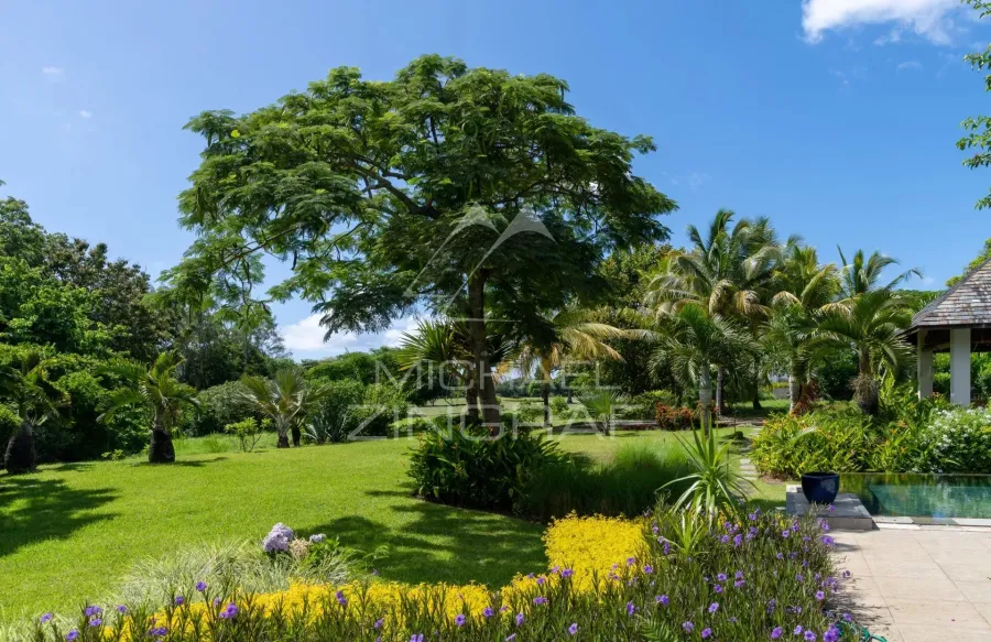 Élégante villa avec vue sur le golf au cœur de l’Anahita Estate - 5