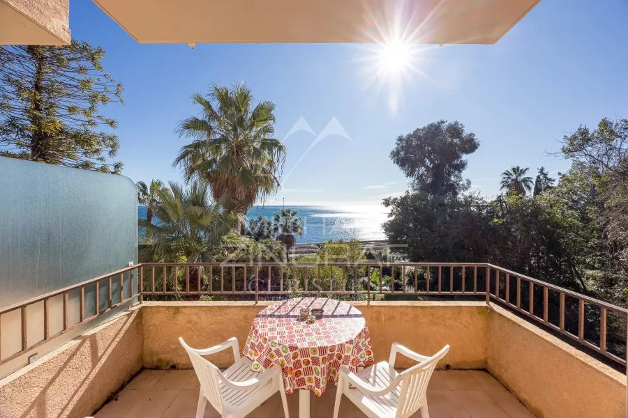 Cannes et Golfe-Juan – Vue mer imprenable et accès direct à la mer - 4