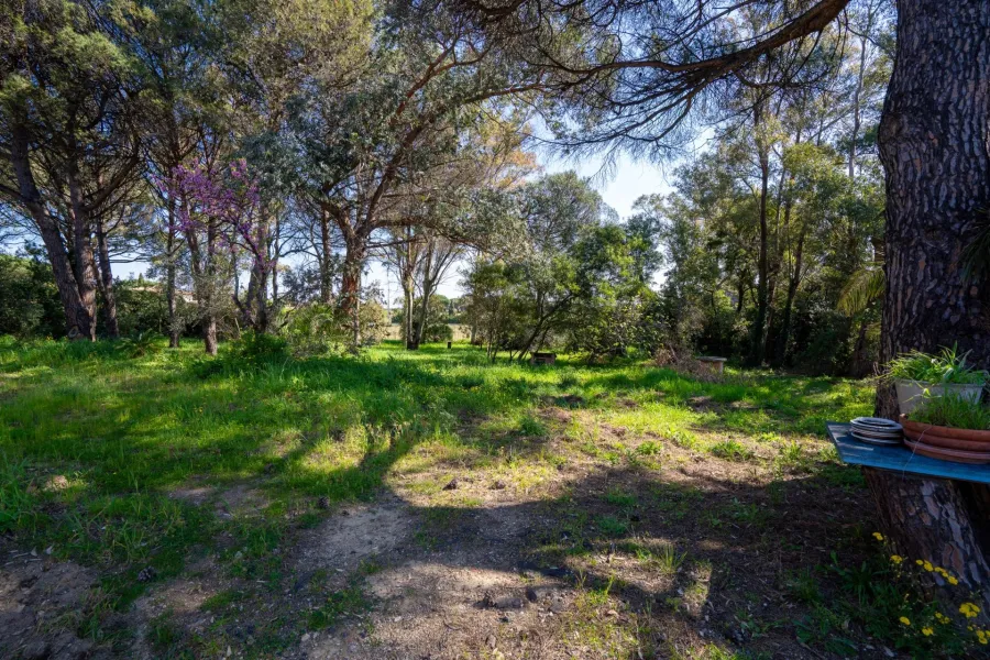 Projet de rénovation à Ramatuelle avec permis de construire - 7