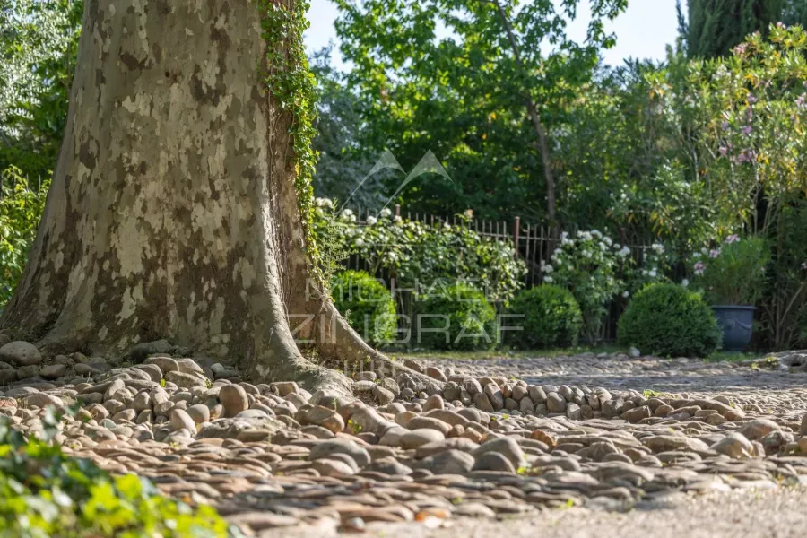 Exclusivité : Exceptionnelle Bastide du XVIIIe siècle aux portes de L’Isle-sur-la-Sorgue sur un parc de 6.3 ha avec salle de réception de prestige - 3