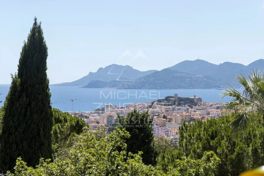 Cannes - Californie - Majestueuse propriété contemporaine - 8