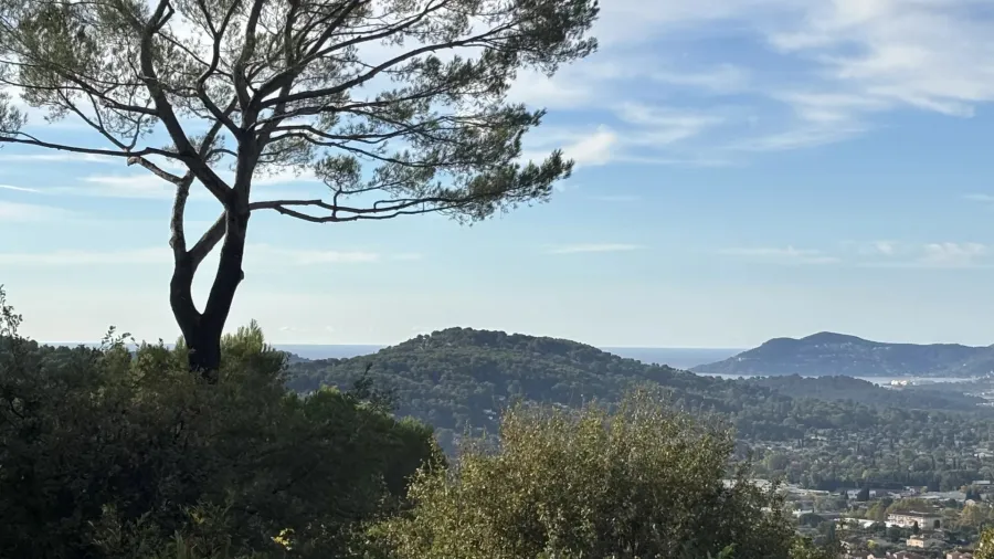 Mouans-Sartoux - Propriété familiale avec vue panoramique sur la mer et l'Estérel - 2