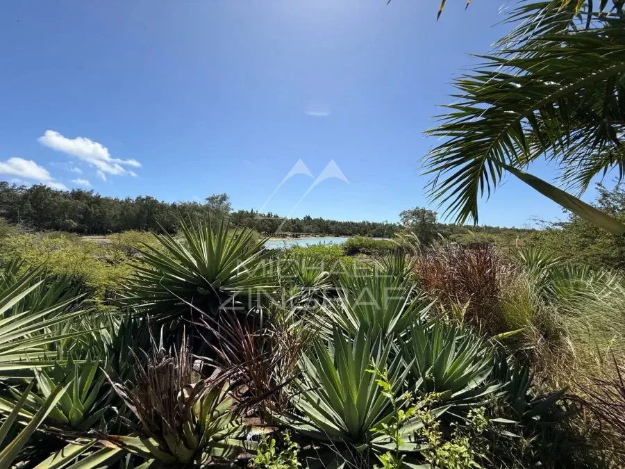 Villa d’Exception au Bord d’un Barachois à Calodyne - 5