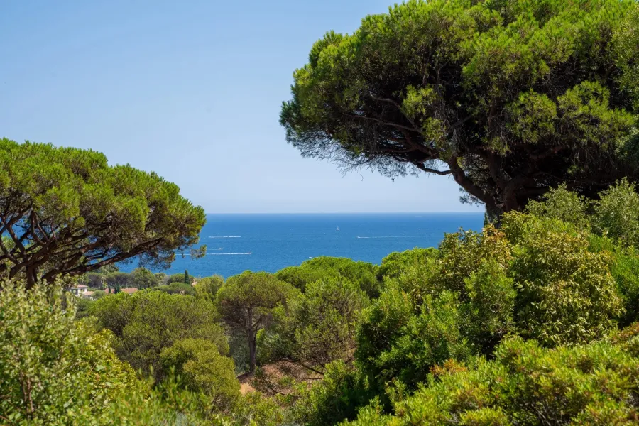 L’élégance méditerranéenne dans un écrin privilégié - Sainte-Maxime - 6