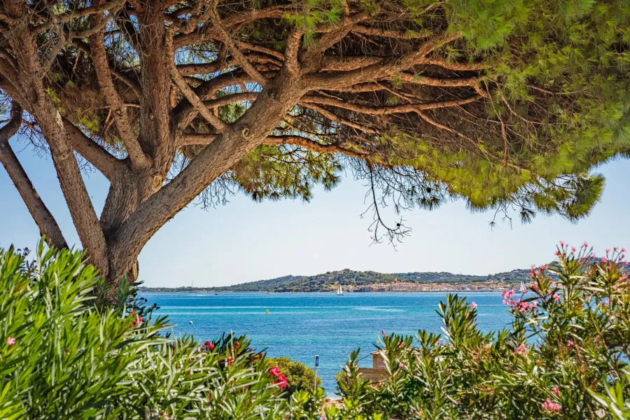 Propriété de prestige face à la mer, à pied de la plage - 4